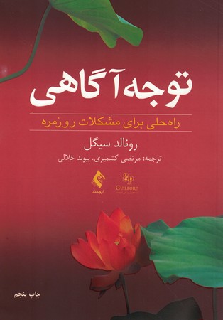 توجه آگاهی (راه حلی برای مشکلات روزمره)