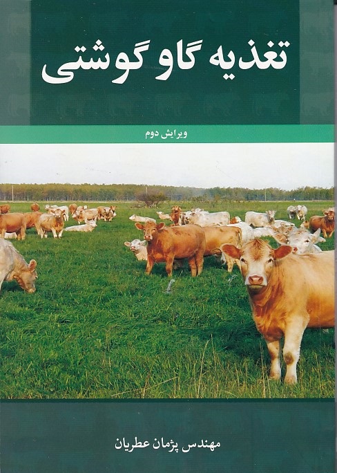 تغذیه گاو گوشتی 