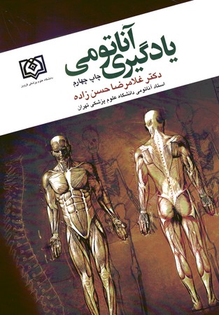 یادگیری آناتومی 