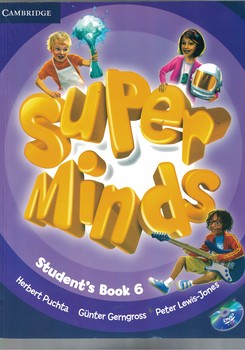 Super Minds 6 + Work