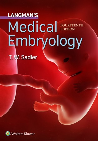 Medical Embryology (14th Edition) (رحلی)
