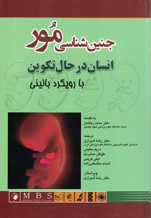 جنین شناسی مور انسان در حال تکوین