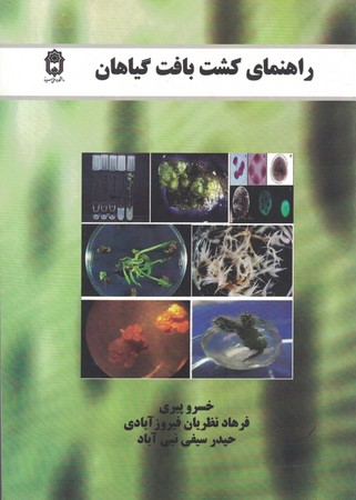 راهنمای کشت بافت گیاهان