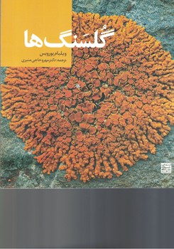 گلسنگ ها