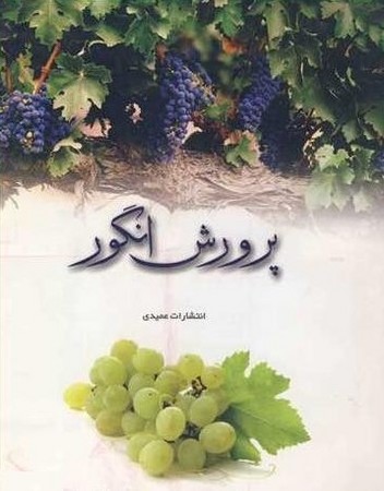 پرورش انگور 