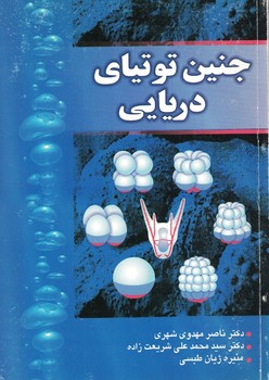 جنین توتیای دریایی