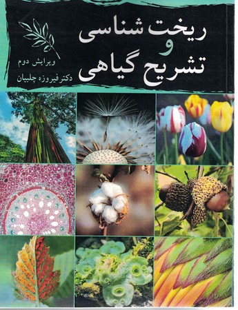 ریخت شناسی و تشریح گیاهی