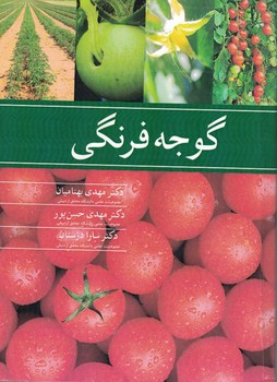 گوجه فرنگی 