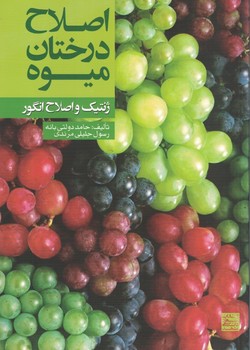اصلاح درختان میوه ژنتیک و اصلاح انگور