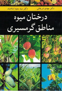 درختان میوه مناطق گرمسیری