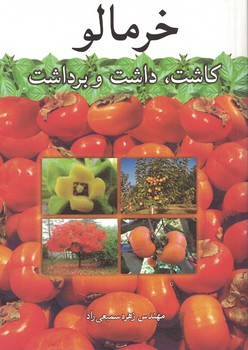 خرمالو کاشت ،داشت و برداشت