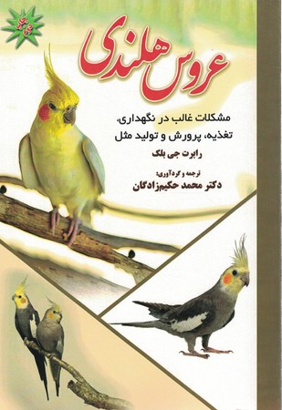 عروس هلندی 