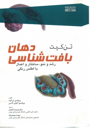 بافت شناسی دهان تن کیت