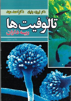 تالوفیت ها ریسه داران