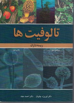 تالوفیت ها ریسه داران
