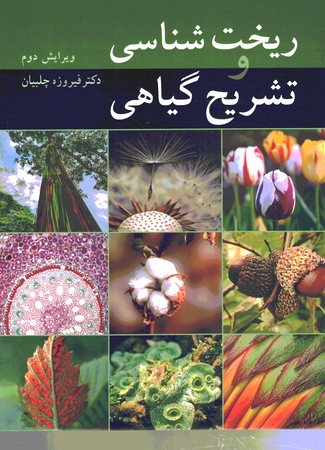 ریخت شناسی و تشریح گیاهی 