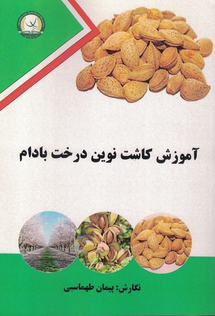 آموزش کاشت نوین درخت بادام
