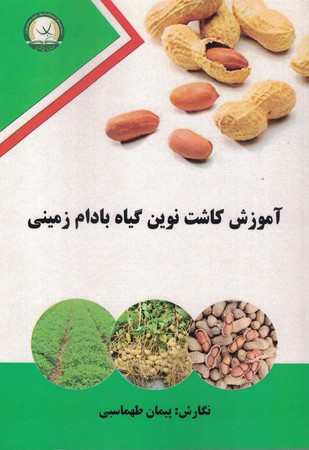 آموزش کاشت نوین گیاه بادام زمینی
