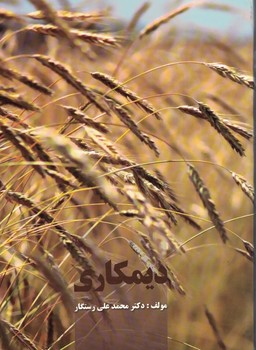 دیمکاری
