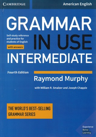 american Grammar in Use Inter (4th)