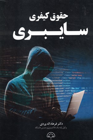 حقوق کیفری سایبری