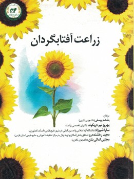 زراعت آفتابگردان