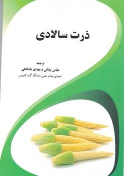 ذرت سالادی