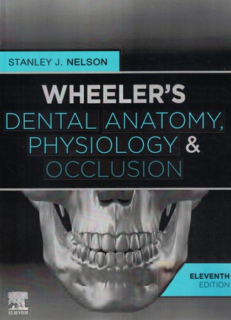 wheelers Dental anatomy physiology & occlusion