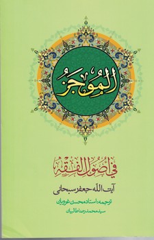 الموجز فی اصول فقه (جلد 2)