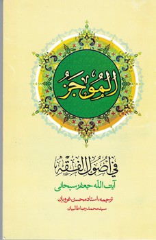 الموجز فی اصول فقه (جلد 1)