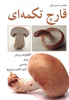 قارچ تکمه ای 