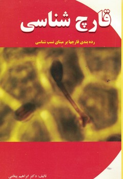قارچ شناسی