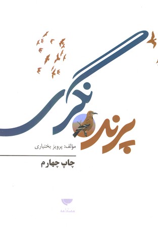 پرنده نگری 