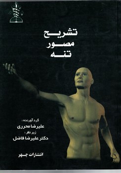 تشریح مصور تنه 