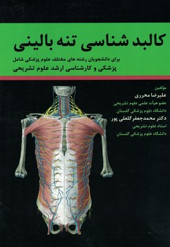 کالبدشناسی تنه بالینی