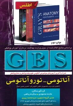 GBS آناتومی-نوروآناتومی