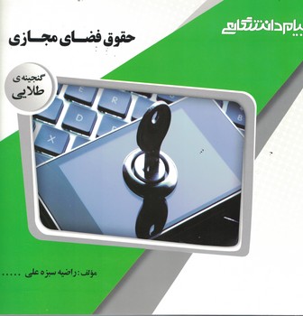گنجینه‌ی طلایی حقوق فضای مجازی 