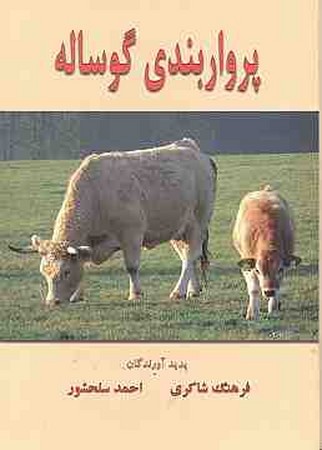 پرواربندی گوساله 