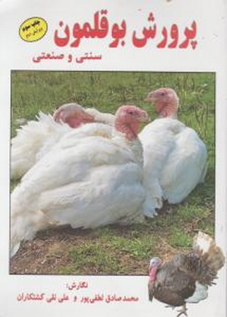 پرورش بوقلمون سنتی و صنعتی 
