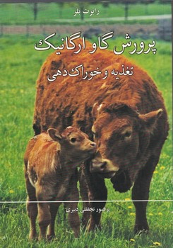 پرورش گاو ارگانیک تغذیه و خوراک دهی