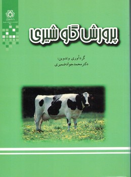 پرورش گاو شیری