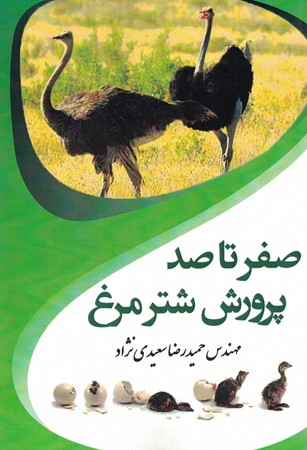 صفر تا صد پرورش شترمرغ 