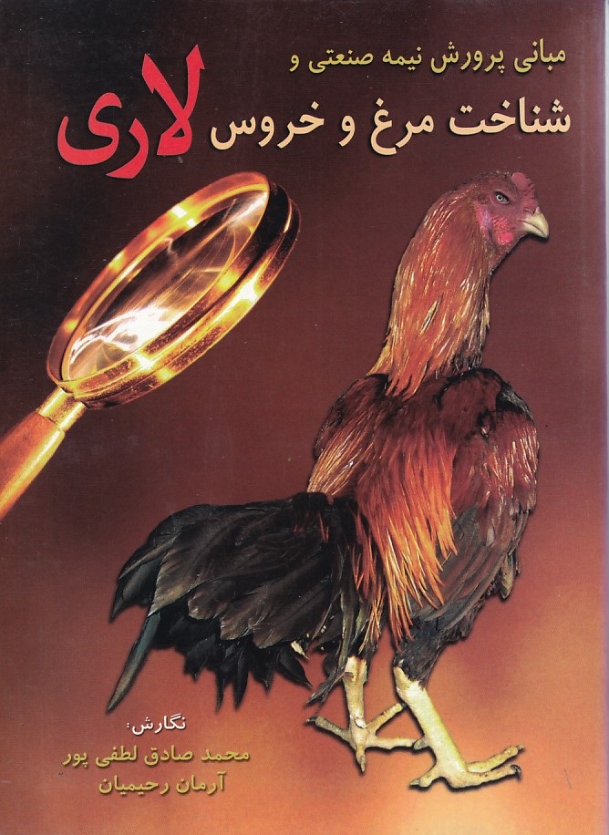 مبانی پرورش نیمه صنعتی و شناخت مرغ و خروس لاری
