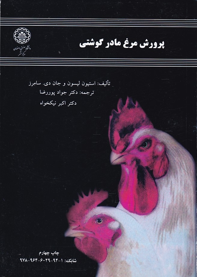 پرورش مرغ مادر گوشتی