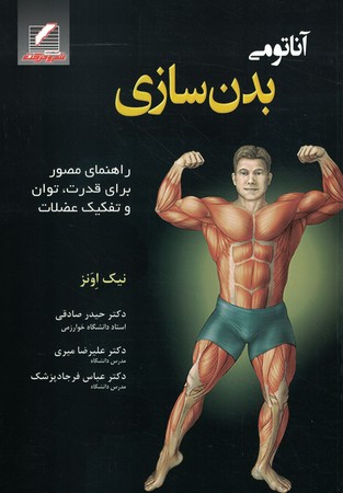 آناتومی بدن سازی 