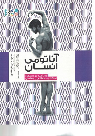 آناتومی انسان
