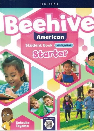 American Beehive starter + work